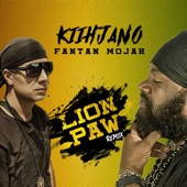 Lion Paw (Remix) artwork