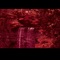 Cmng to Me - Tariq808 lyrics