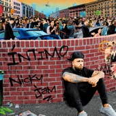 Íntimo artwork