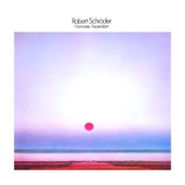 Robert Schroeder - The Day After X