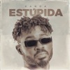 Kanda - Estúpida