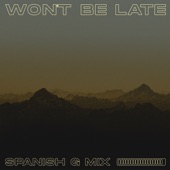 Won't Be Late (Spanish G Mix) artwork