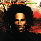 Bob Marley & The Wailers - Revolution