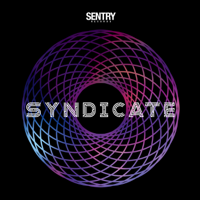 Various Artists - Sentry Records Presents: Syndicate artwork
