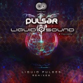 Liquid Pulses Remixes artwork