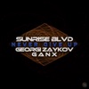 Never Give Up (feat. DJ Ganx & Georgi Zaykov) - Single