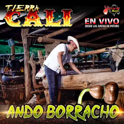 Ando Borracho (En Vivo) - Single - Tierra Cali