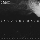 Into the Rain artwork