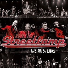 Under the Streetlamp: The Hits (Live)