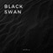 Black Swan - ItsAMoney lyrics