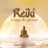 Reiki énergie de guérison album lyrics, reviews, download