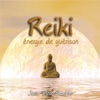 Reiki énergie de guérison