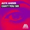 Can't You See - Alyx Ander lyrics