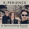 A Neverending Dream (555 Version) - Single