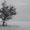 :werra: - Alte Liebe