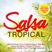 Salsa Tropical, Vol. 2 - Best of Hot Latin Summer Hits artwork