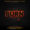 Burn (feat. Noochie, Ras Kass & Torae) - Single album lyrics, reviews, download