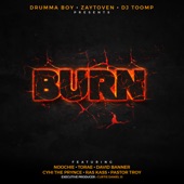 Burn (feat. Noochie, Ras Kass & Torae) artwork