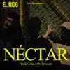 Néctar (feat. Sike Damodar) - Single album lyrics, reviews, download