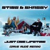 Just One Lifetime (Dave Audé Remix) artwork