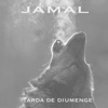 Tarda de Diumenge - Single