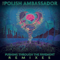 The Polish Ambassador - Pushing Through the Pavement (Remixes) artwork