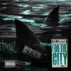 For the City album lyrics, reviews, download