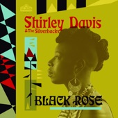 Black Rose (feat. Silverbacks) artwork
