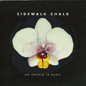 SIDEWALK CHALK - Bloom Again