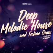 Deep Melodic House & Techno Gems 2020 artwork