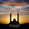 Surah Baqarah - Pt. 12 artwork