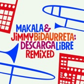 Descarga Libre (feat. Omar González Mesa) [Rui Fradinho Remix] artwork