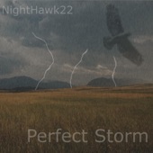 Perfect Storm artwork