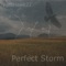 Perfect Storm artwork