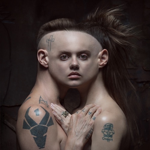 Die Antwoord Торрент