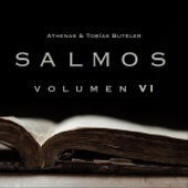 Salmos, Vol. VI artwork