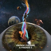 Vintage Culture & Friends 3 - EP artwork