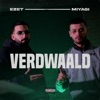 Verdwaald (feat. Miyagi) - Single