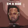 Im a Hoe - Single album lyrics, reviews, download