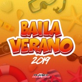 Baila Verano 2019 artwork