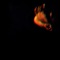 Lyra - Graham Costello lyrics