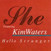 Hello Stranger (feat. Kim Waters) [Brooklyn Mix] artwork