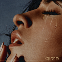 Camila Cabello - Cry for Me artwork