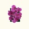 Impar - Tiello lyrics