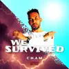 Stream & download We Survived - Single