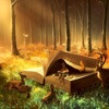 Tom Day - Into the Wild