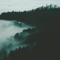 Wildness - Cero lyrics