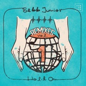 Hold On (Remix Pack I) - EP artwork