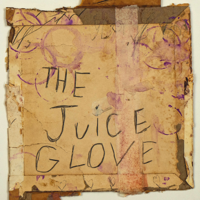 G. Love & Special Sauce - The Juice artwork