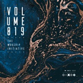 The Worship Initiative, Vol. 19 artwork